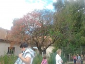 2011-09-06 10.37.52