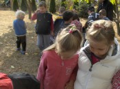 HPIM8899